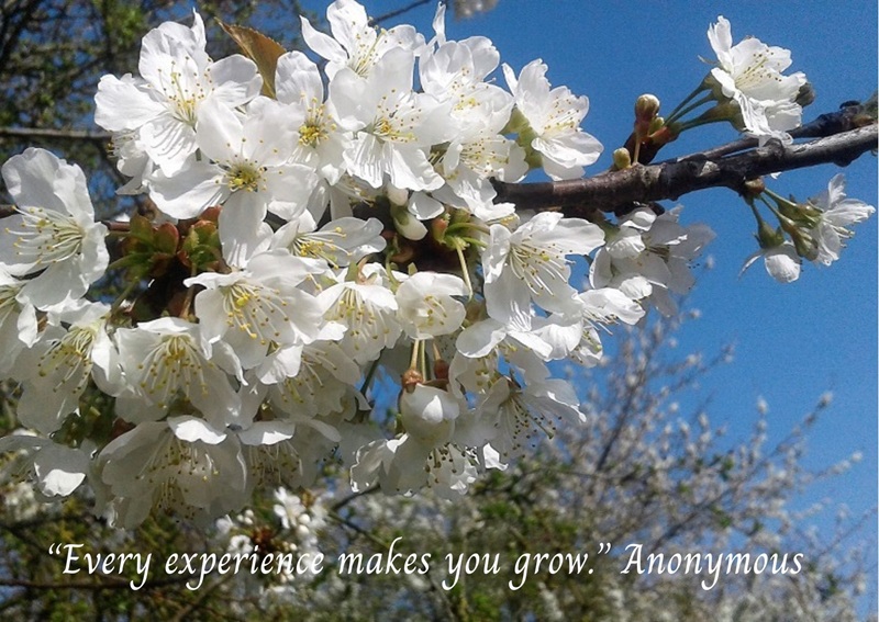 Every Experience Makes You Grow