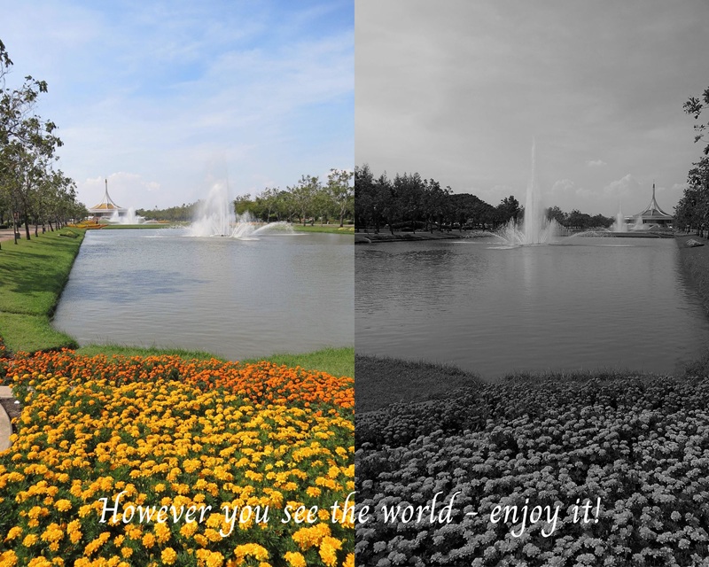 However You See the World – Enjoy it!